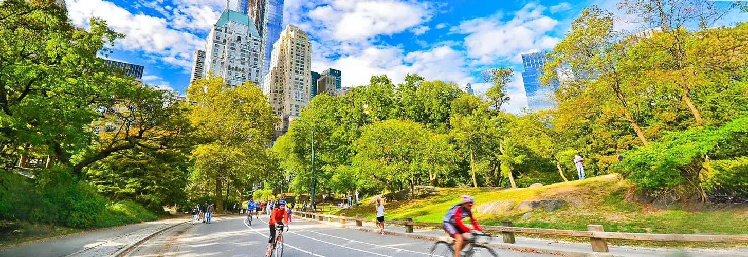 biking in new york on sunny day
