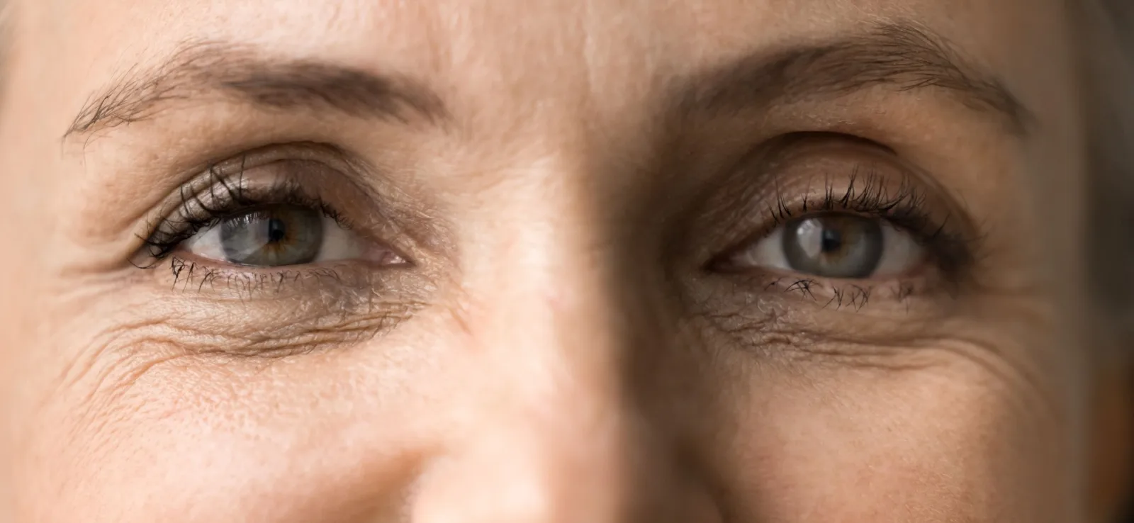 healthy senior eye close up