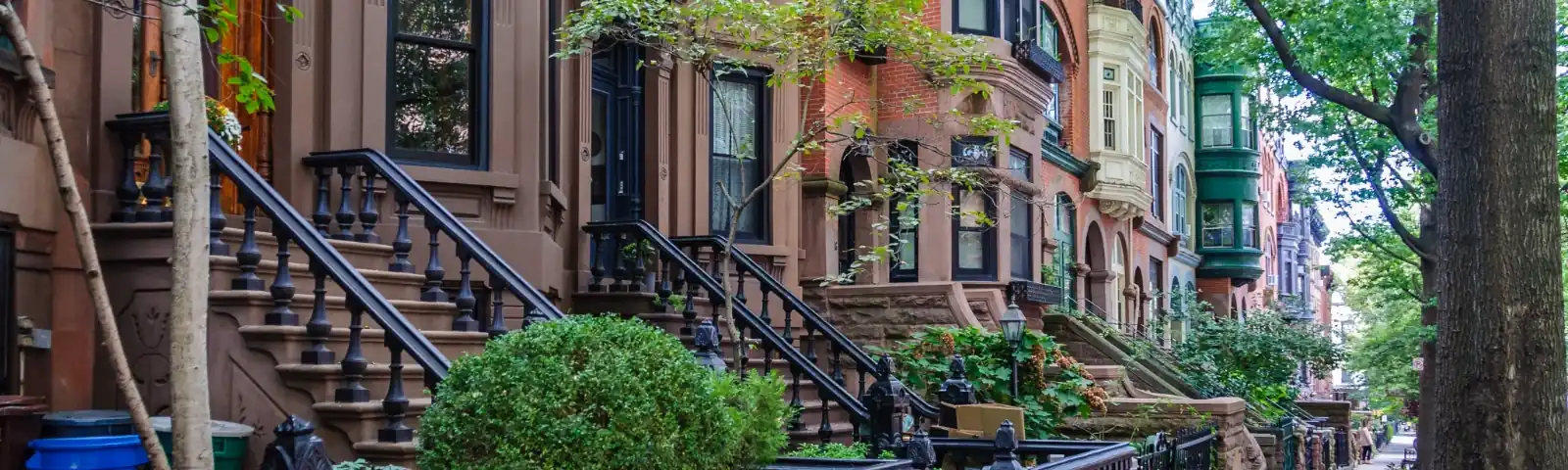 beautiful urban street in NY